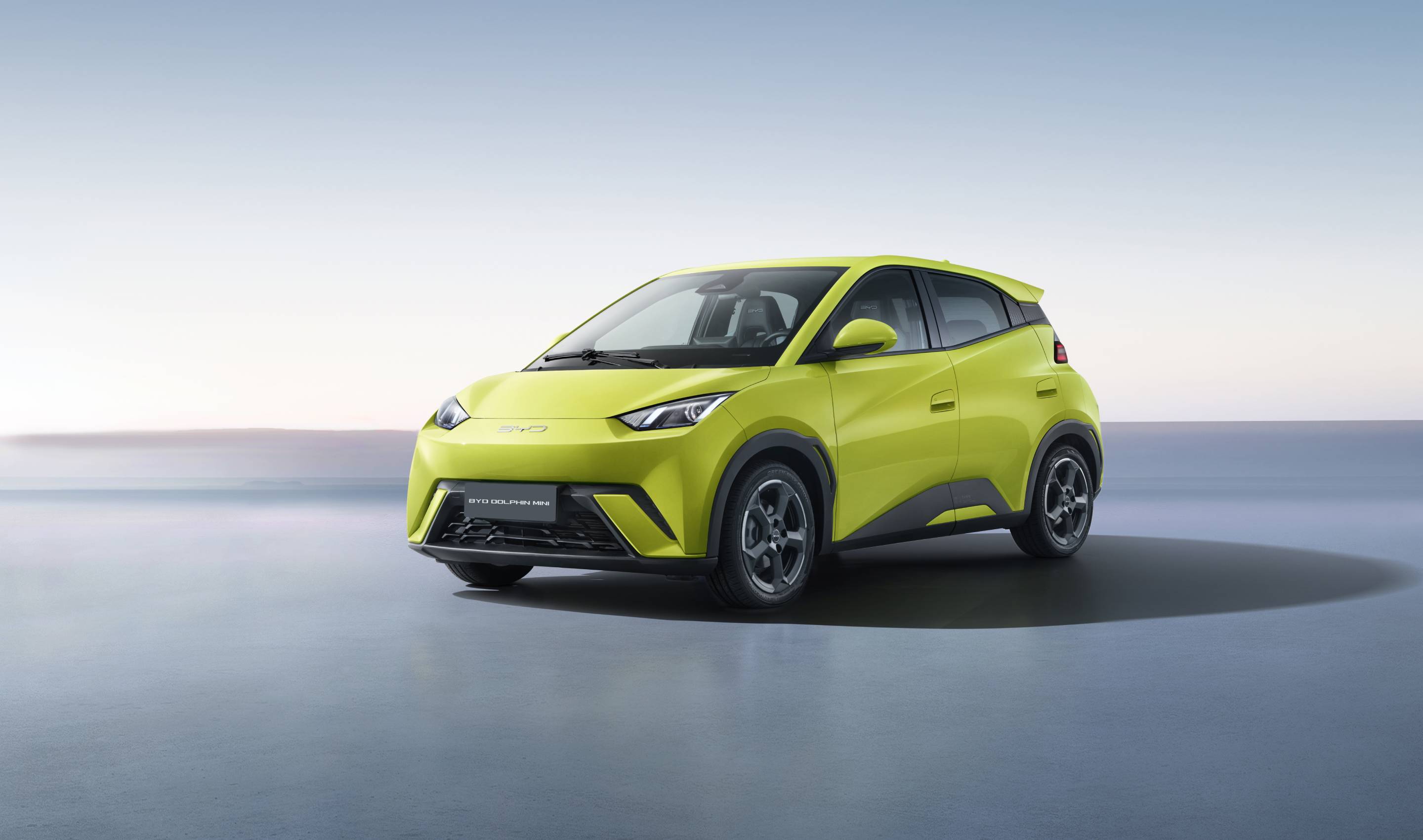 BYD DOLPHIN-MINI BANNER 1